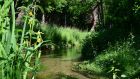 Wasserzufuhr der „Holser Flüth“ bei Salzkotten nach zeitweisem Trockenfallen wiederhergestellt 